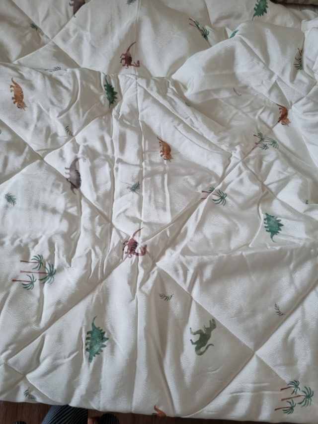 이미지를 찾을 수 없습니다.