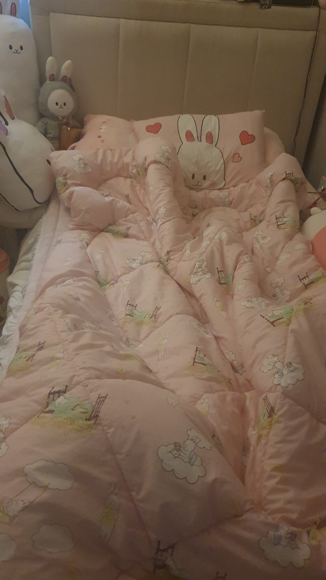 이미지를 찾을 수 없습니다.