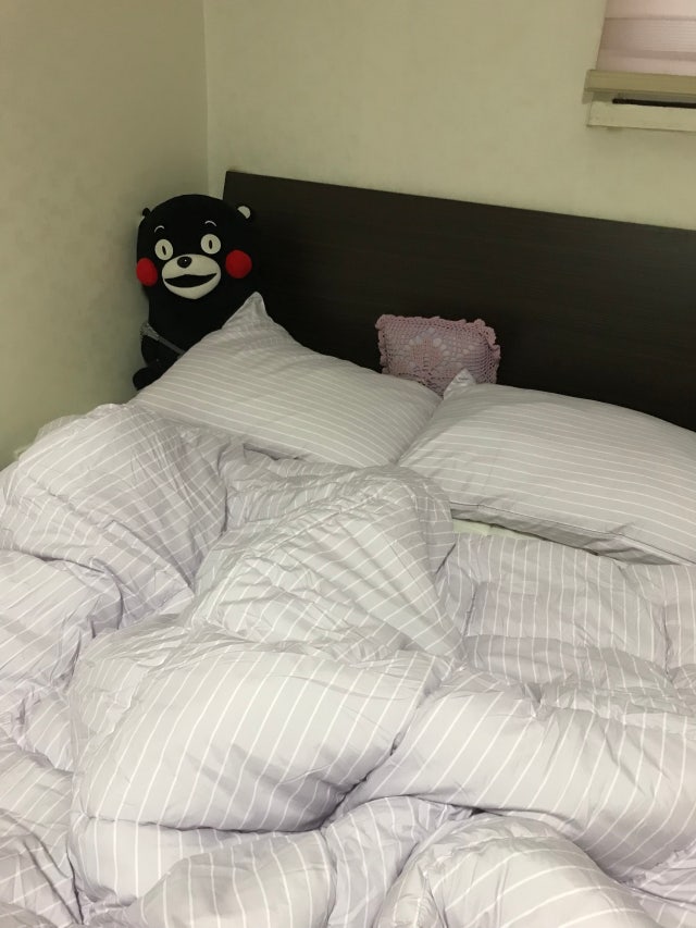 이미지를 찾을 수 없습니다.