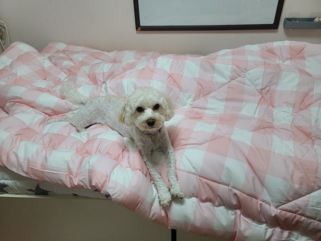 이미지를 찾을 수 없습니다.