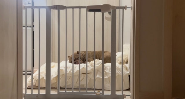 이미지를 찾을 수 없습니다.