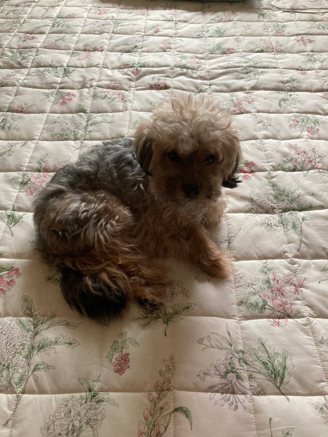 이미지를 찾을 수 없습니다.