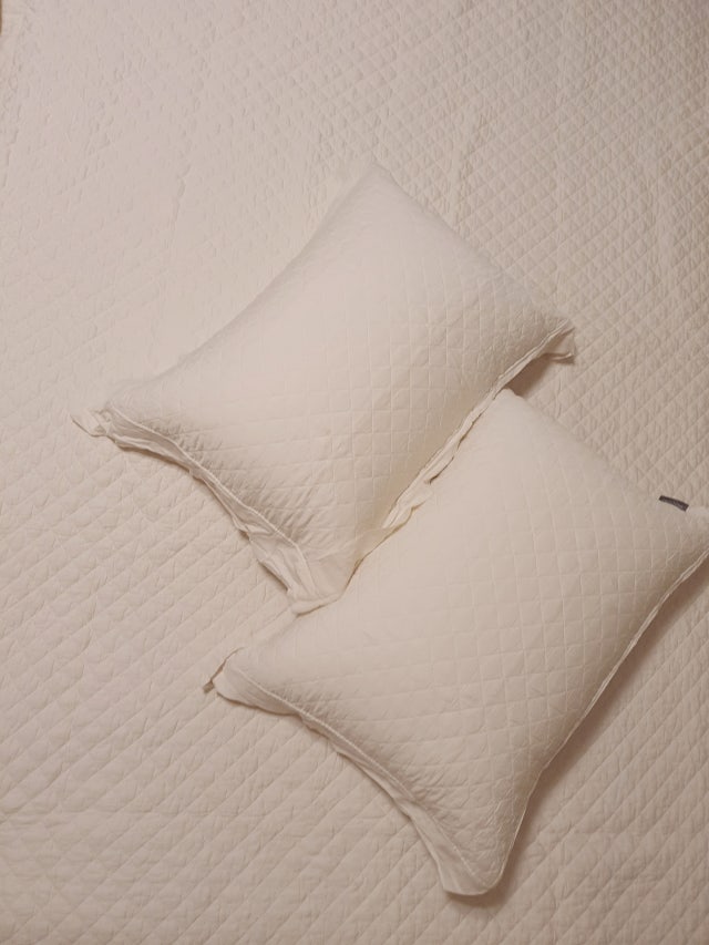 이미지를 찾을 수 없습니다.