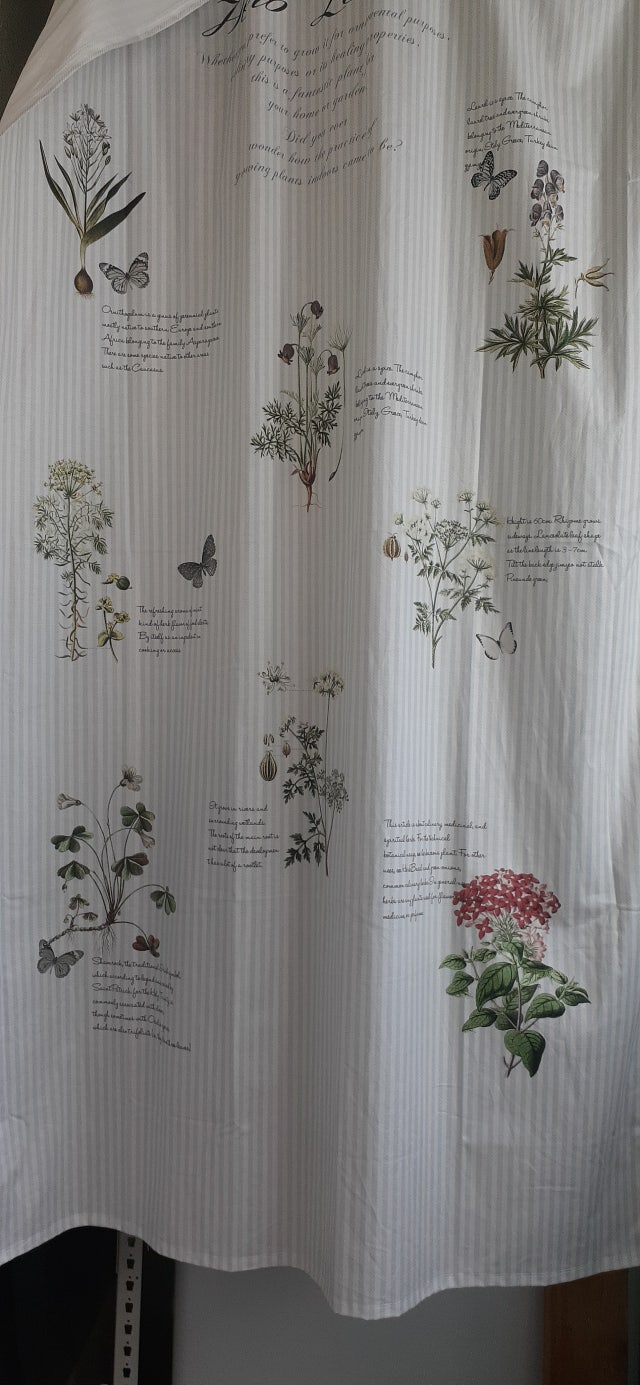 이미지를 찾을 수 없습니다.