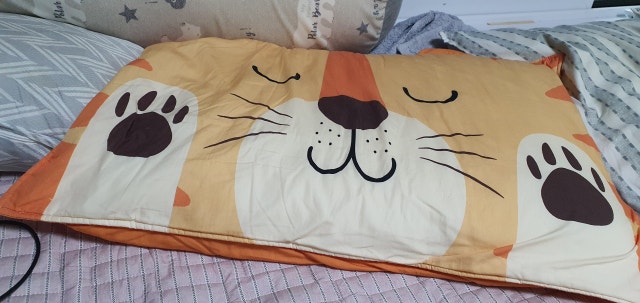 이미지를 찾을 수 없습니다.