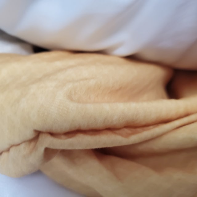 이미지를 찾을 수 없습니다.