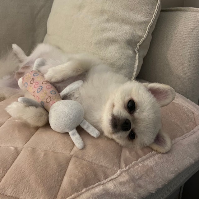 이미지를 찾을 수 없습니다.