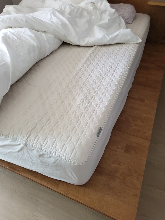 이미지를 찾을 수 없습니다.