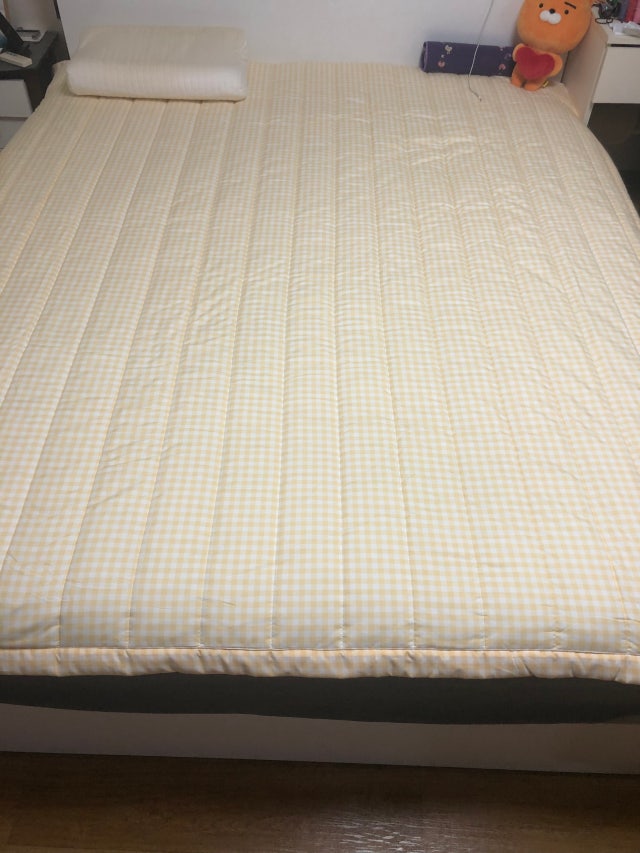 이미지를 찾을 수 없습니다.