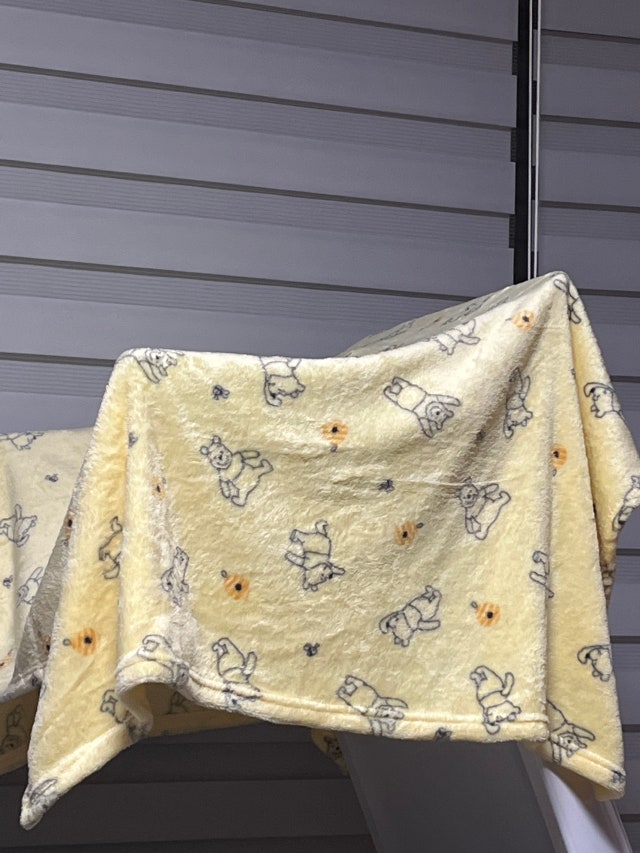 이미지를 찾을 수 없습니다.