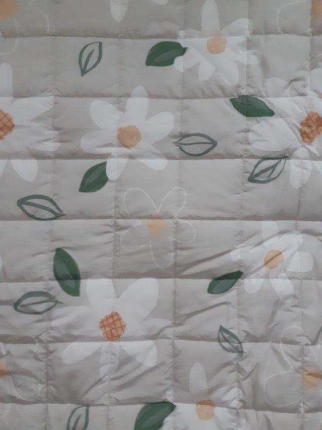 이미지를 찾을 수 없습니다.