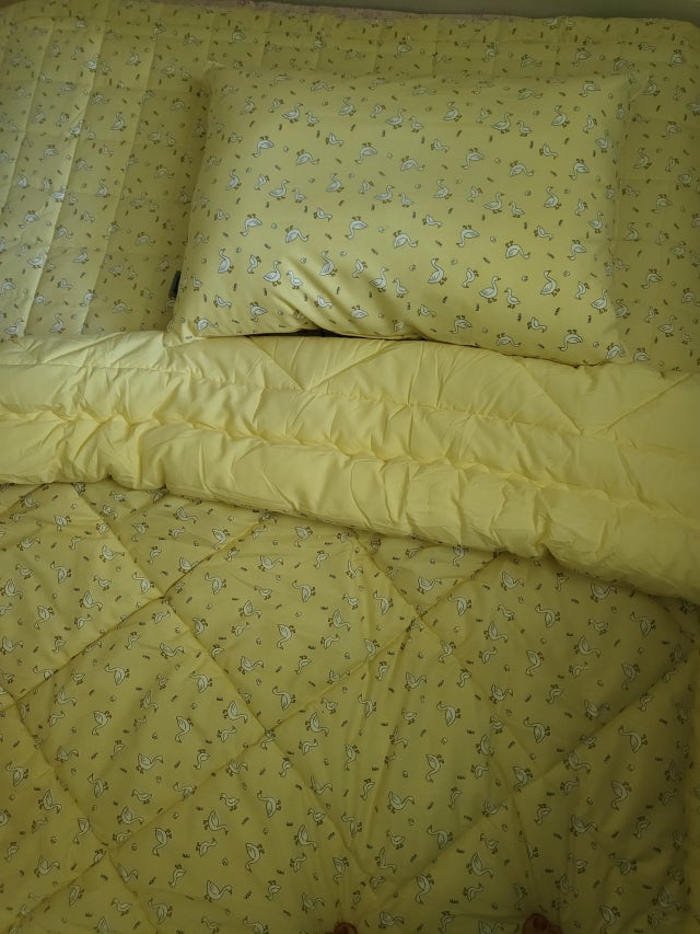 이미지를 찾을 수 없습니다.