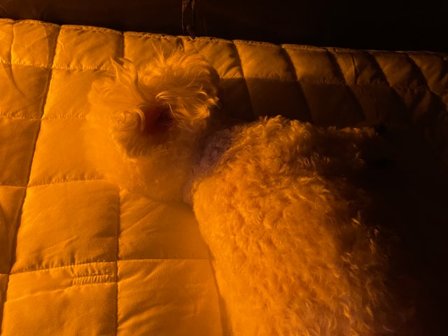 이미지를 찾을 수 없습니다.