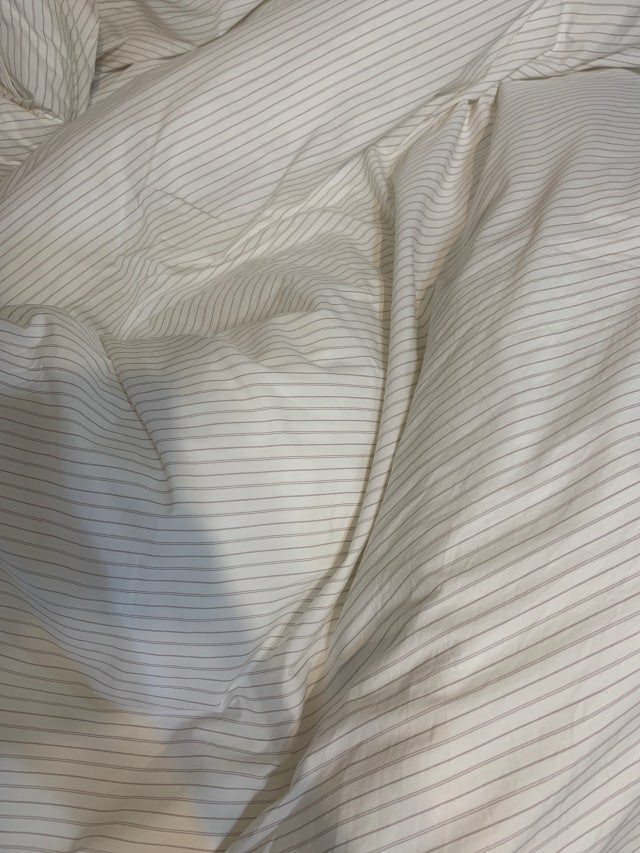 이미지를 찾을 수 없습니다.