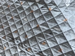 이미지를 찾을 수 없습니다.