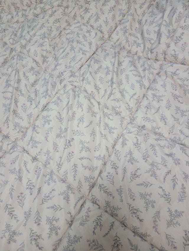 이미지를 찾을 수 없습니다.