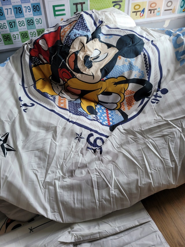 이미지를 찾을 수 없습니다.