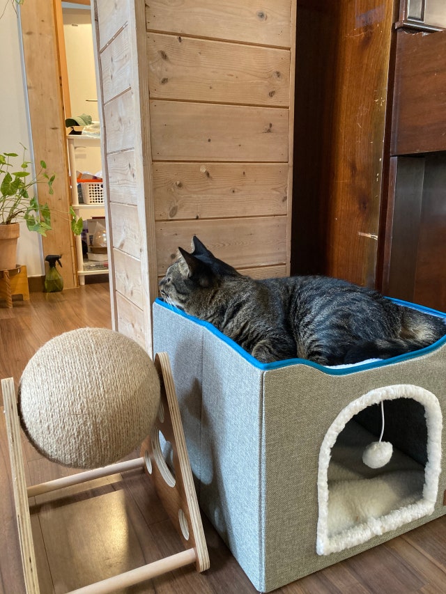 이미지를 찾을 수 없습니다.