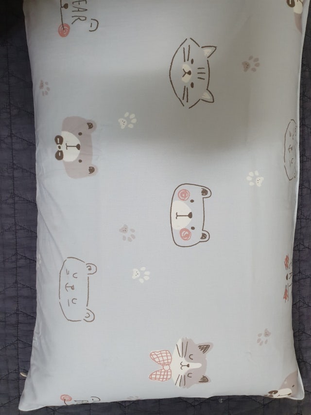 이미지를 찾을 수 없습니다.