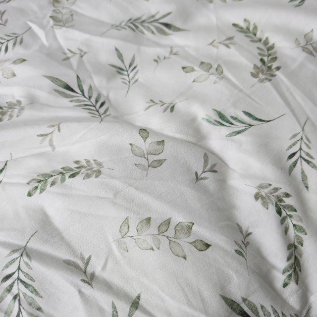 이미지를 찾을 수 없습니다.