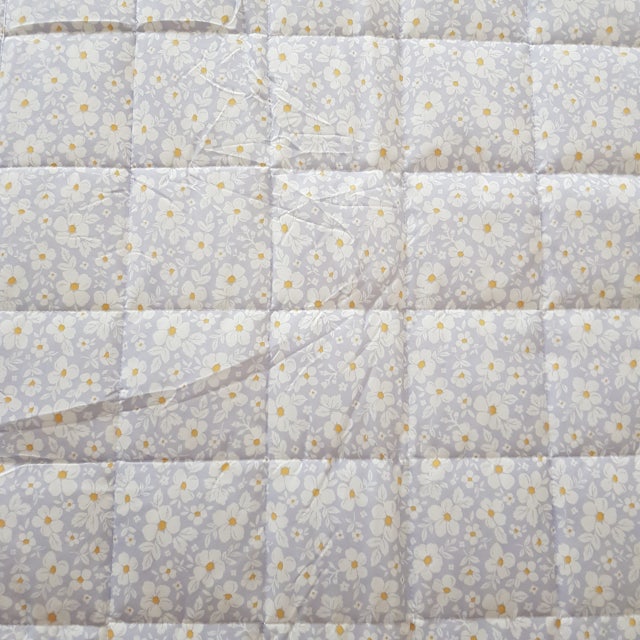 이미지를 찾을 수 없습니다.