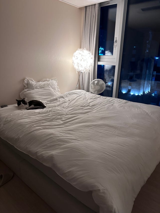 이미지를 찾을 수 없습니다.