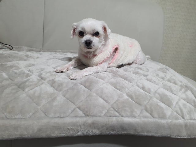 이미지를 찾을 수 없습니다.