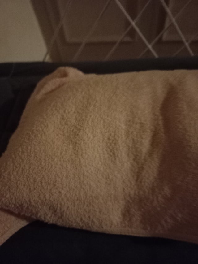 이미지를 찾을 수 없습니다.