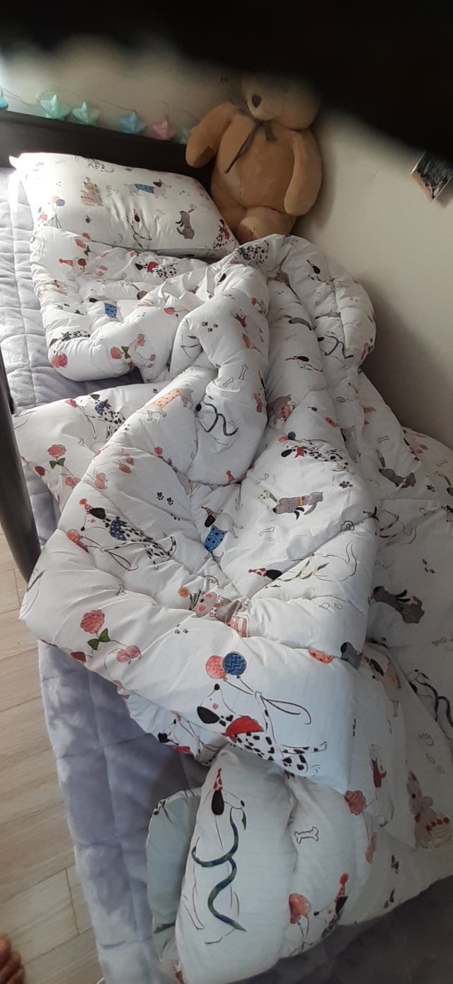 이미지를 찾을 수 없습니다.