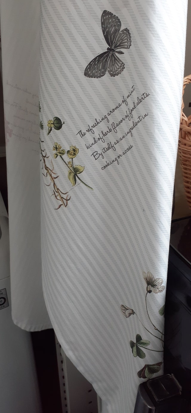 이미지를 찾을 수 없습니다.