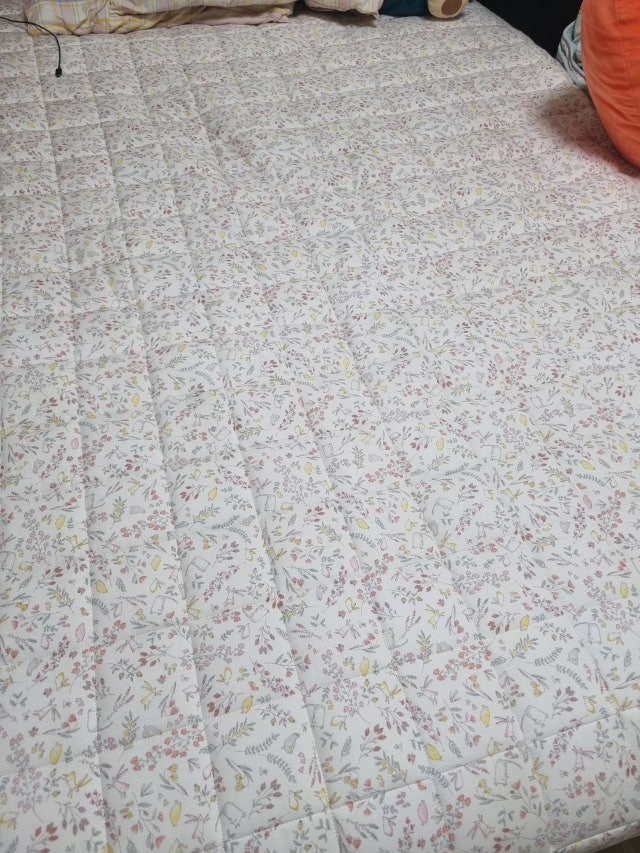 이미지를 찾을 수 없습니다.