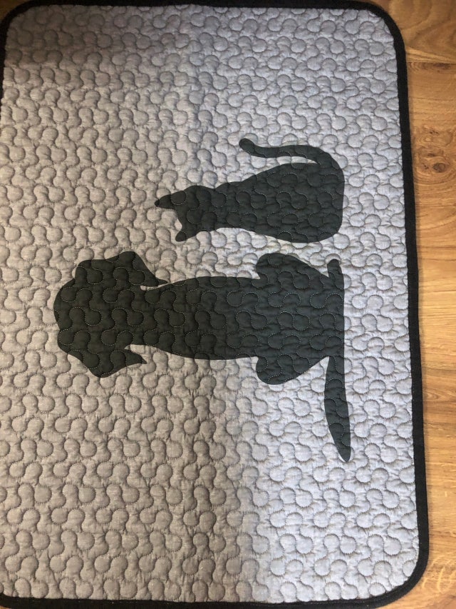 이미지를 찾을 수 없습니다.