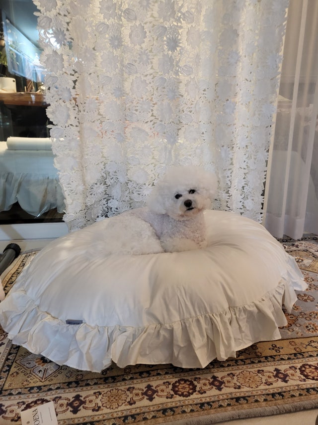 이미지를 찾을 수 없습니다.