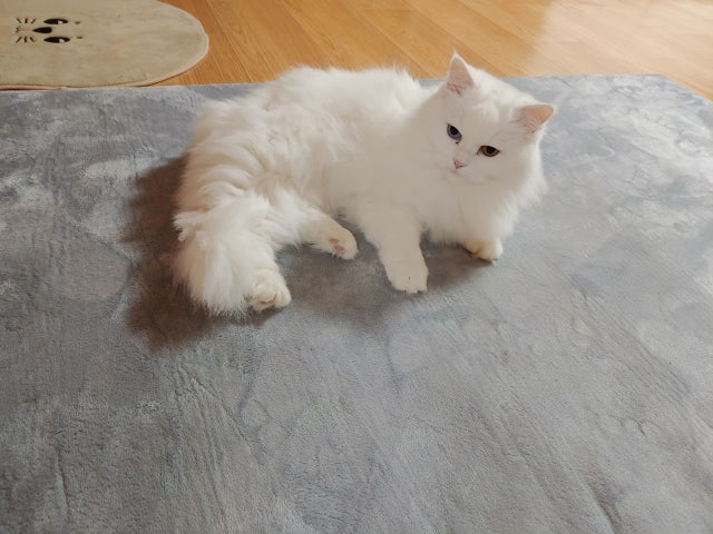 이미지를 찾을 수 없습니다.