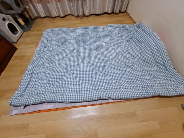 이미지를 찾을 수 없습니다.