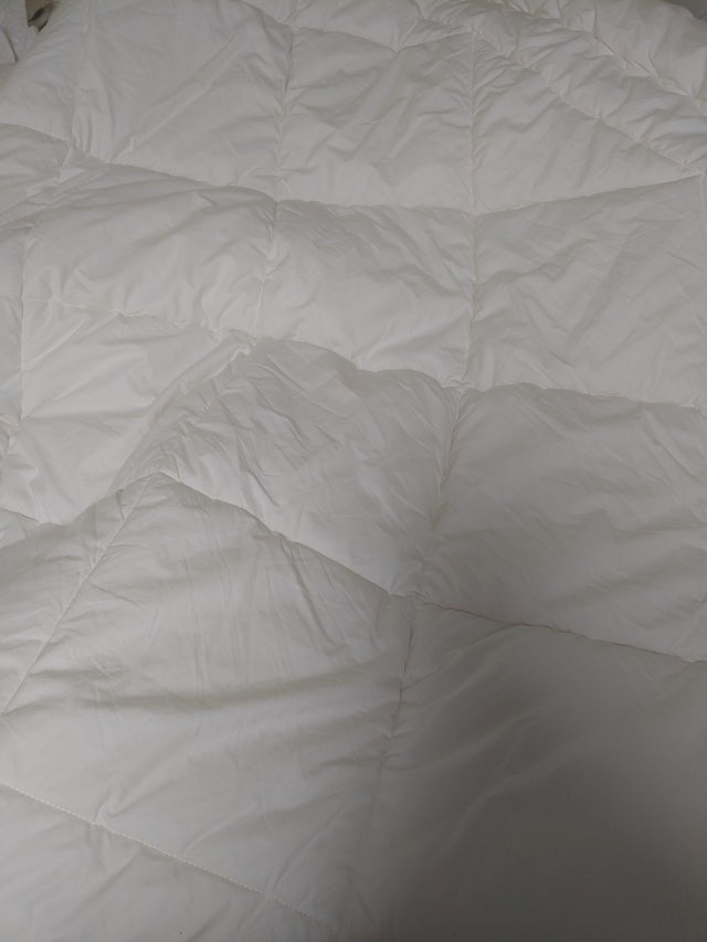 이미지를 찾을 수 없습니다.