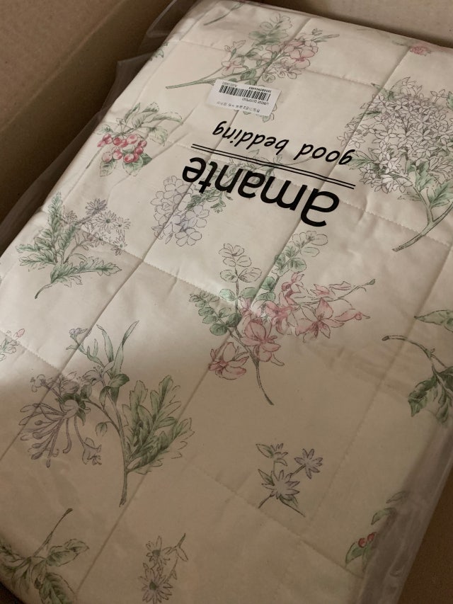 이미지를 찾을 수 없습니다.