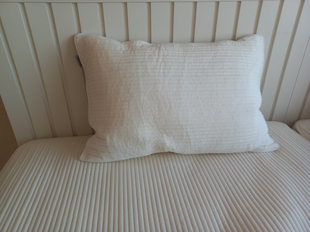 이미지를 찾을 수 없습니다.