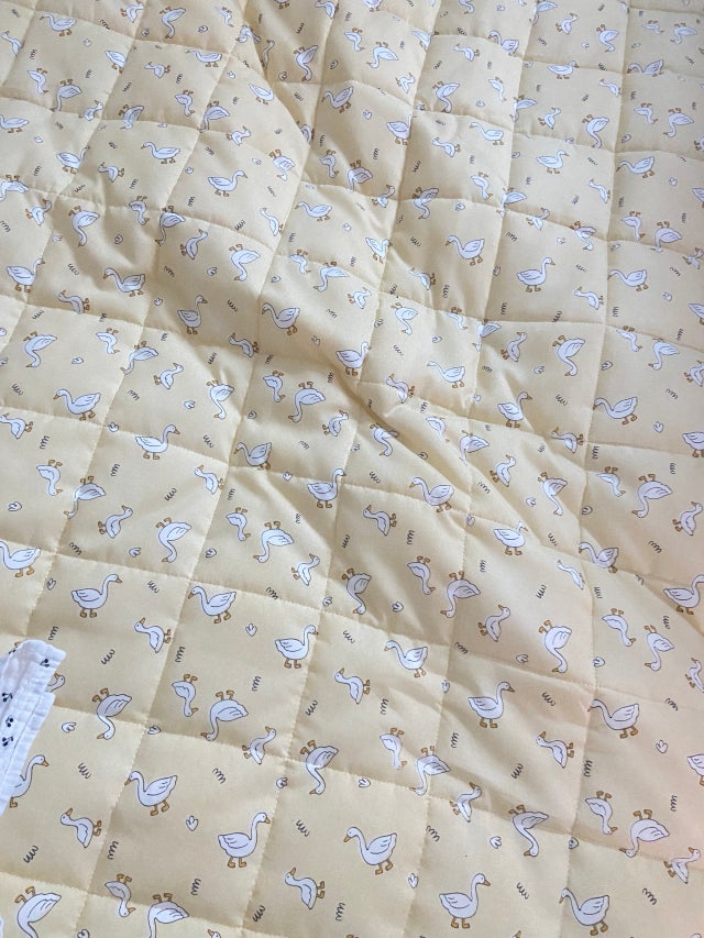 이미지를 찾을 수 없습니다.