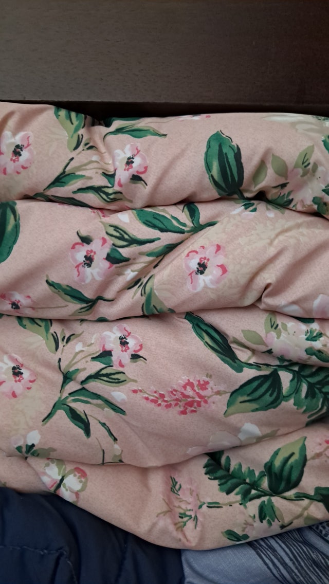 이미지를 찾을 수 없습니다.