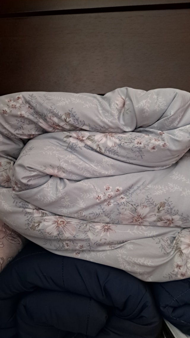 이미지를 찾을 수 없습니다.