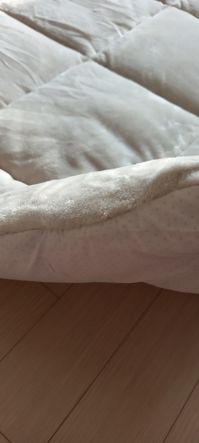 이미지를 찾을 수 없습니다.