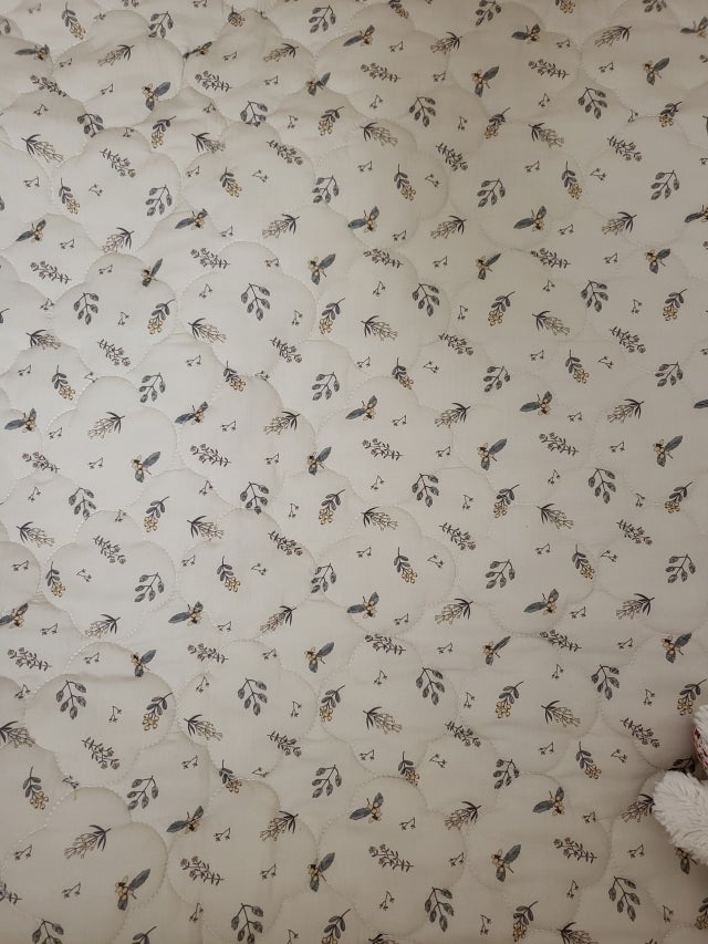 이미지를 찾을 수 없습니다.