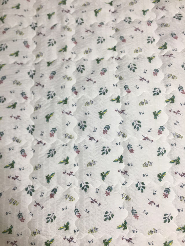 이미지를 찾을 수 없습니다.