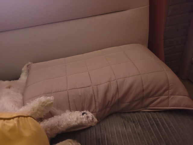 이미지를 찾을 수 없습니다.