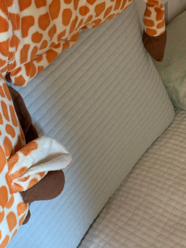 이미지를 찾을 수 없습니다.