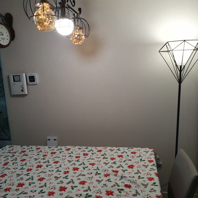 이미지를 찾을 수 없습니다.