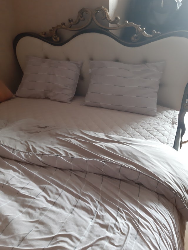 이미지를 찾을 수 없습니다.