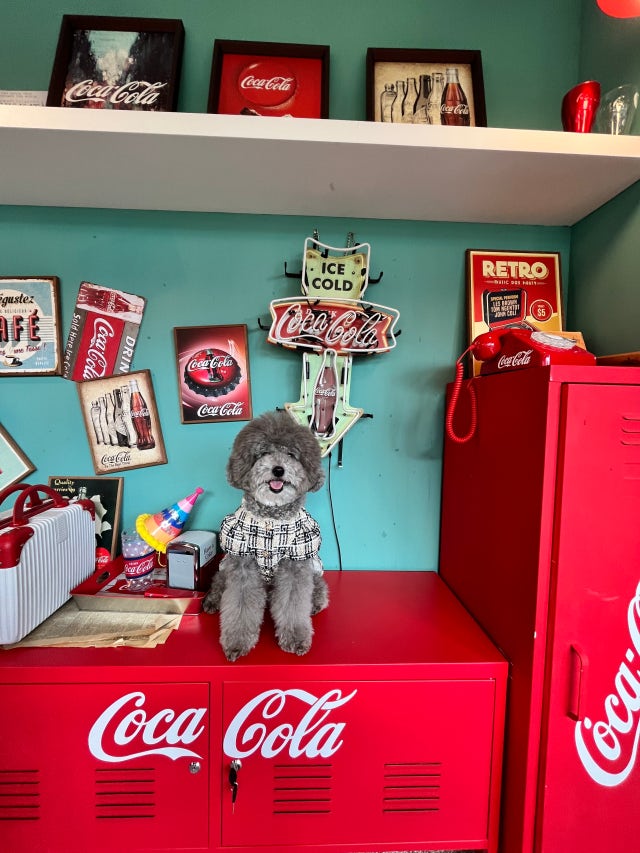 456B342F-E0FE-4B87-8723-CE09D03F1F08.jpeg?type=w640