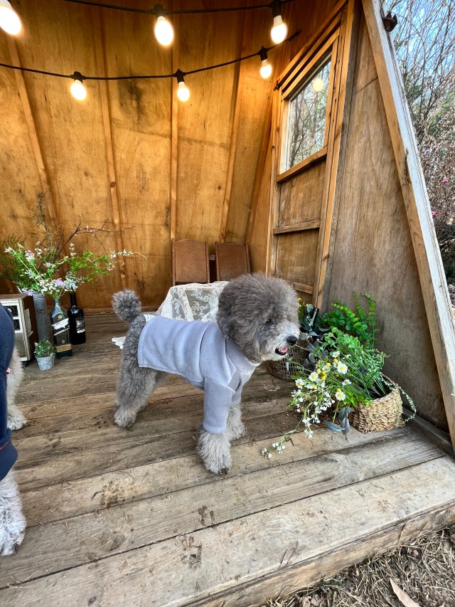 DA419DA9-4633-4908-928B-3AE2DE130B4B.jpeg?type=w640